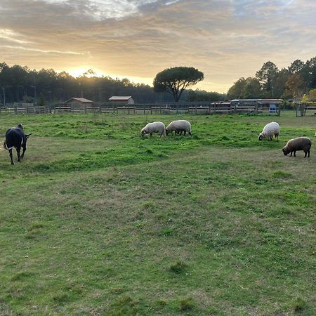 Gite - La Ferme A La Plage Le Porge Exteriér fotografie